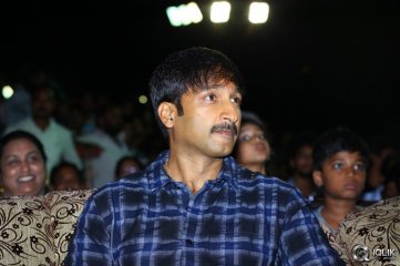 Loukyam Movie Audio Success Function